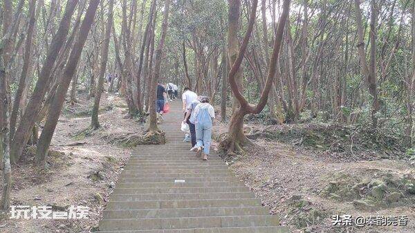 东莞第一高峰是什么山(分享登顶银瓶山的爬山攻略)-图片6
